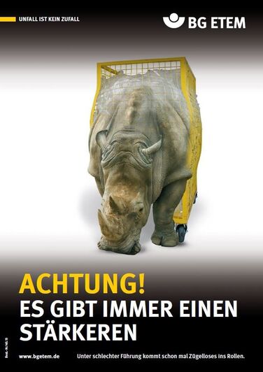 Gitterbox/Nashorn (DIN A2)